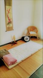 Furansu Zen Shiatsu, Thérapeute en France